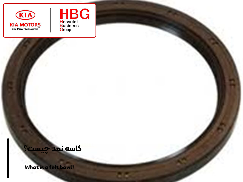 کاسه نمد چیست؟